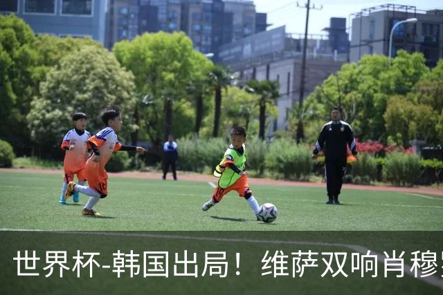 世界杯-韩国出局！维萨双响肖穆罗多夫神仙球 民主刚果3-1乌兹