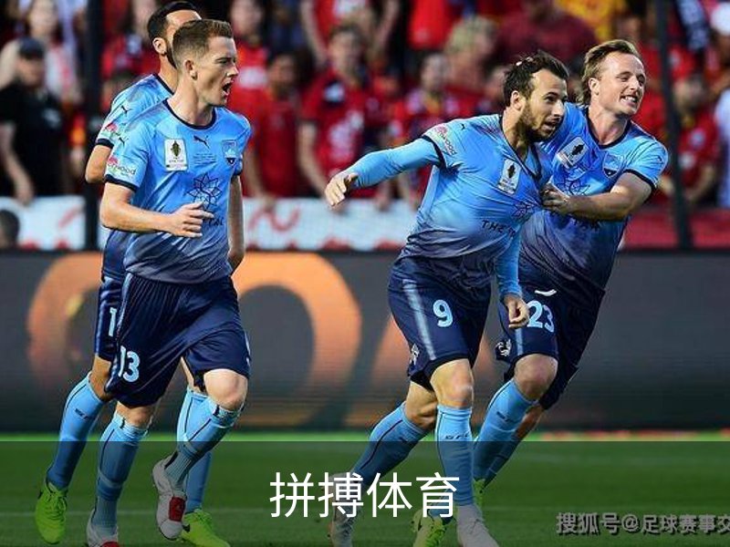 拼搏体育简介